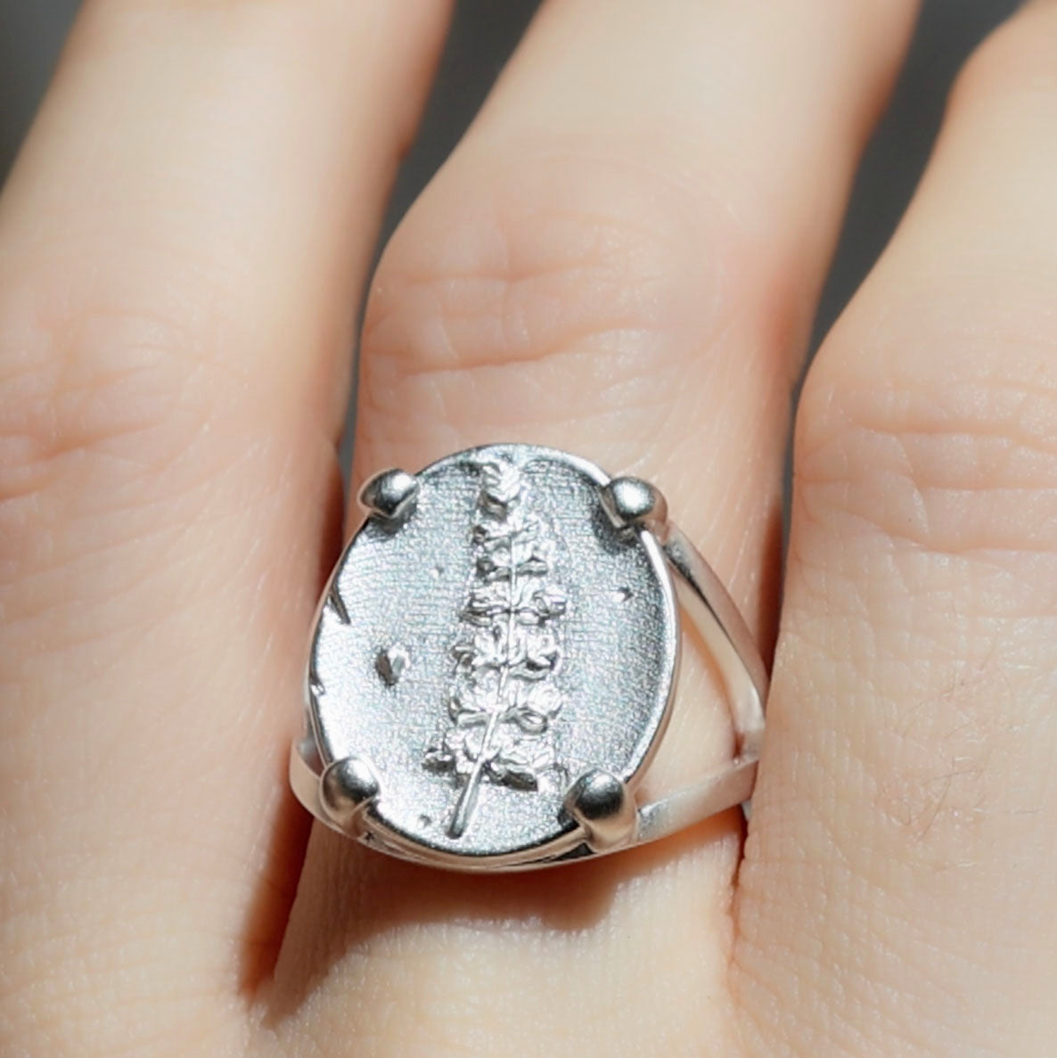 Lupine Coin Ring - Silver